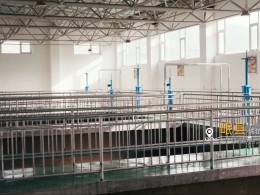 烏魯木齊機場改擴建工程飛行區場道工程 01 標段及圍界附屬工程標段順利通過行業驗收